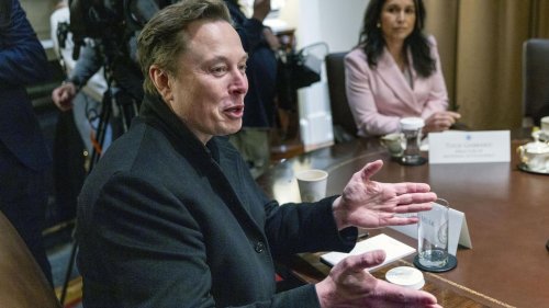 100 Tage Musk: Das ist die Bilanz seiner Effizienzbehörde Doge