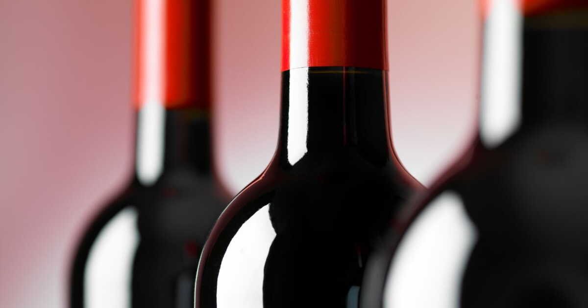 Foire aux vins 2025 chez WineandCo : notre sélection de bouteilles