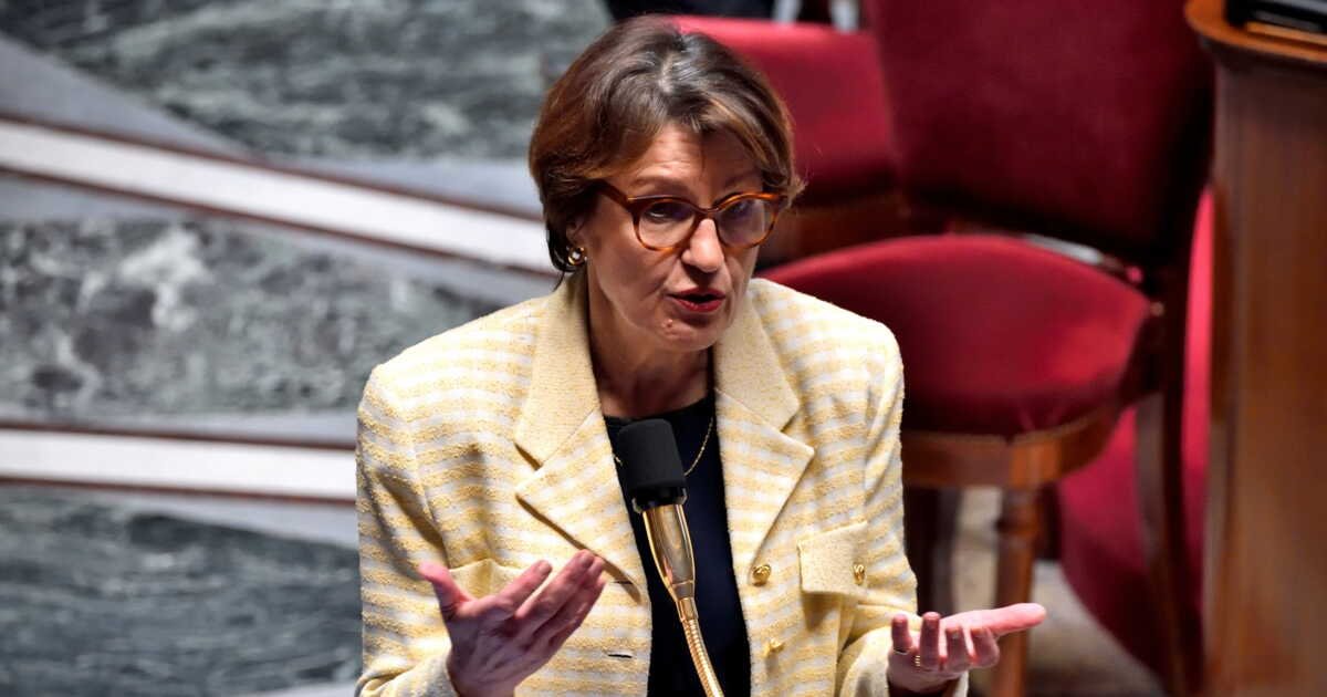 Surtaxes douanières : «Avec Donald Trump, ce n&rsquo;est plus le droit, c&rsquo;est la force», affirme Annie Genevard