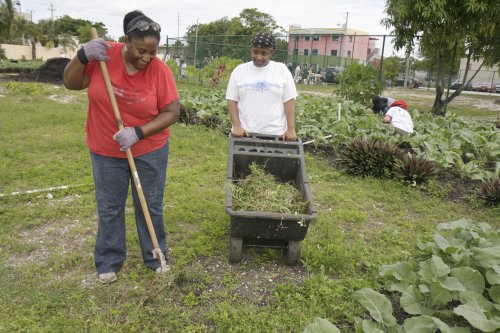 The Government Failed to Help Black Farmers. These Women Created a Fund for Them.