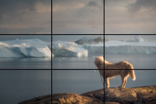 The Rule of Thirds Explained