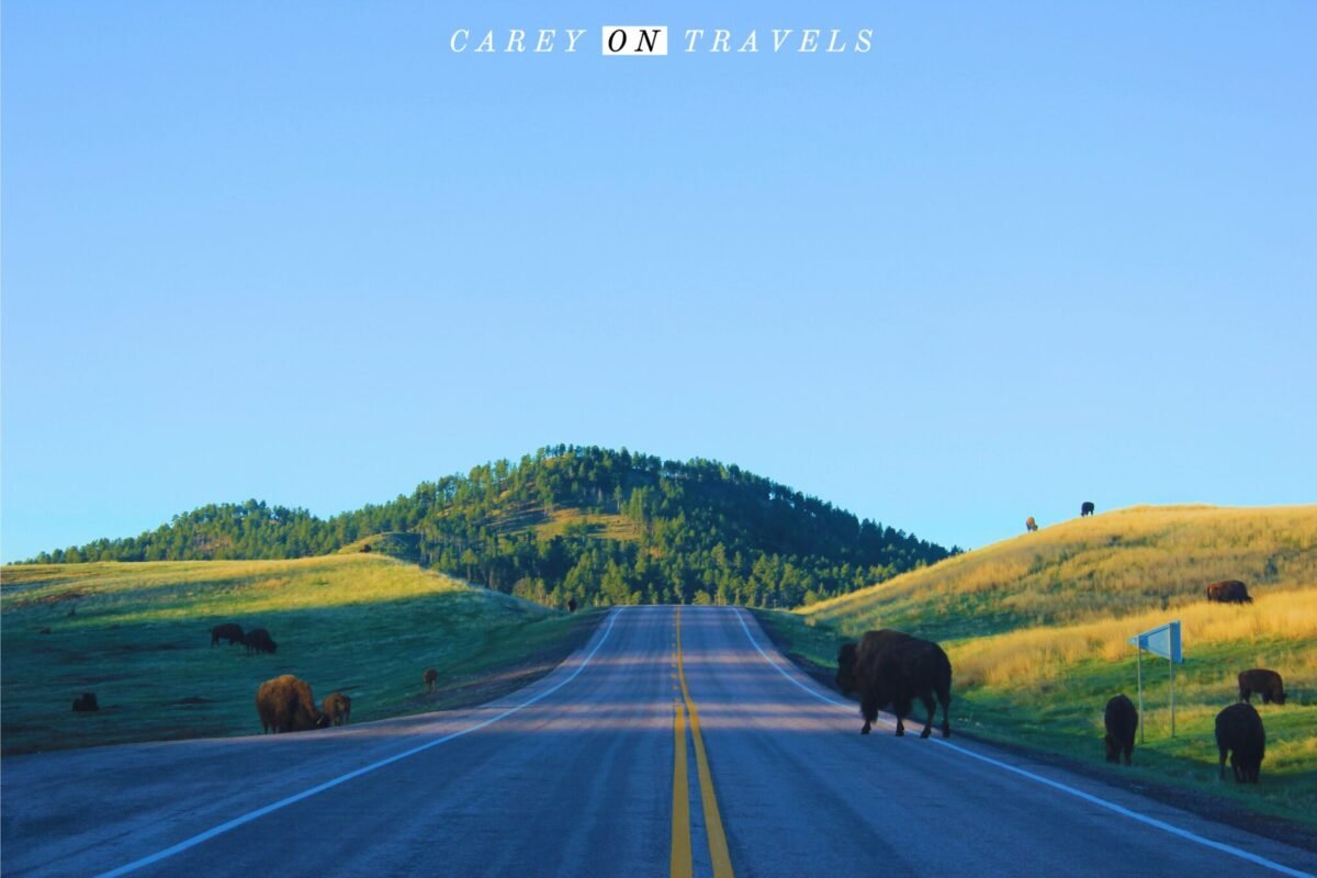 Top 10 Tips for Your Solo Road Trip