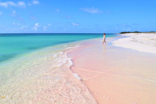 Barbuda rising | Destination