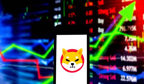Kryptowährung - Robinhood-Petition treibt Dogecoin-Killer Shiba Inu auf Rekordhoch