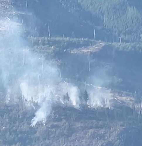 Crews Making Good Progress On Small Fire In Okanagan Mountain Park ...