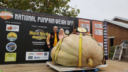 Richmond's giant pumpkin grower lands North America title (BC)