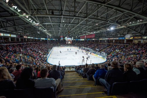 Kelowna Rockets cleared to return to the ice - WHL