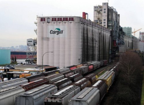 Port of Vancouver grain exports double in first half of 2023 (Business)