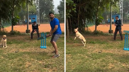 Unlikely cricket player (Offbeat)