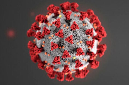 Spread of COVID-19 in Kamloops area can be stopped with vaccines, masking: doctor (Kamloops)