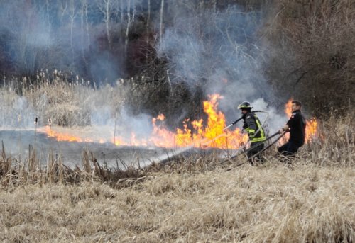Vernon grass fire was started by children playing with matches