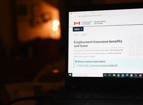 There are new rules about employment insurance. Here's what you need to know. - Canada News