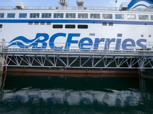 Dog rescued from ledge on side of ferry - BC News