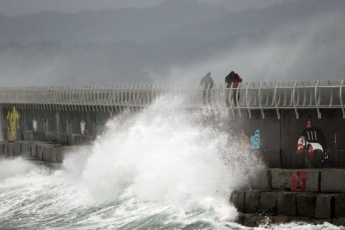 BC Ferries Cancels Many Christmas Day Sailings, Says Others 'at Risk ...