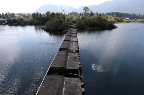 Catalyst Paper seeks lower Cowichan River flow to save water for pulp mill (Business)