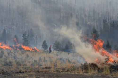 Tremont Creek wildfire now mapped at 27,624 hectares, continues to move northeast, BC Wildfire Service says (Kamloops)
