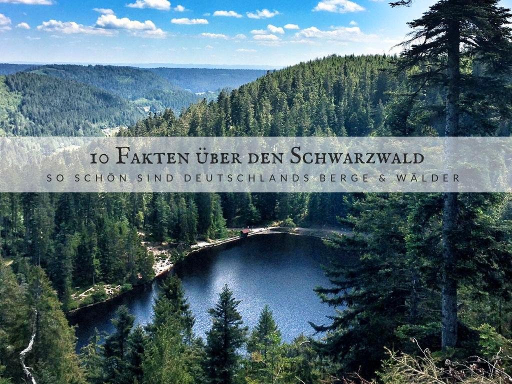 10 Fakten über den Schwarzwald – Das ideale Reiseziel für alle Naturliebhaber & Wanderer