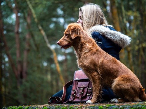 27 Mother’s Day Gifts for Dog Moms That Say ‘Thanks Fur All You Do’