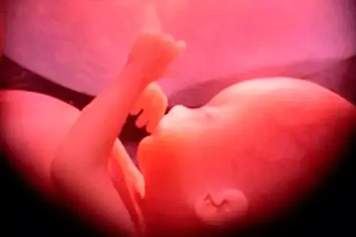 Abortions in Scotland highest on record as government considers abortion on demand
