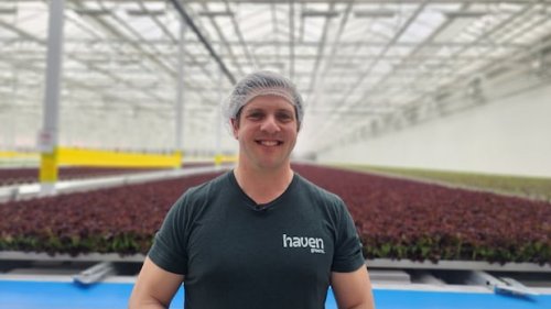 Can machine-grown lettuce help cut Canada's reliance on U.S. greens? This farmer is betting on it