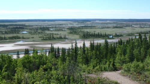Report outlines 'violent, fraught' history of Wood Buffalo National Park | CBC News