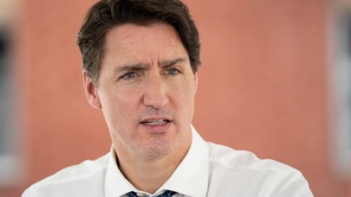 Ethics commissioner set to look into Liberal data contracts | CBC News