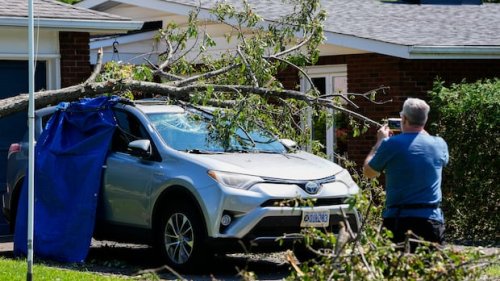 Why does Nepean keep getting hit by crazy weather? City seeking meteorologist to help find out | Flipboard