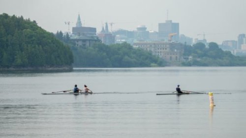 Key COVID-19 numbers in the Ottawa area today | CBC News