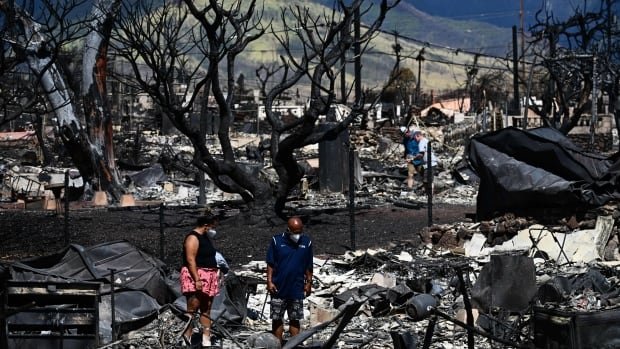 Why do wildfires often ignite a firestorm of conspiracy theories?