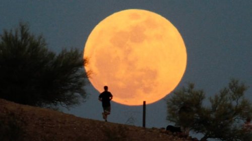 Phases of the moon could be playing with your bedtime without you knowing it, study suggests | CBC Radio