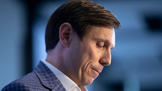 Patrick Brown says Indian diplomat made an 'angry' call to his Conservative campaign chair