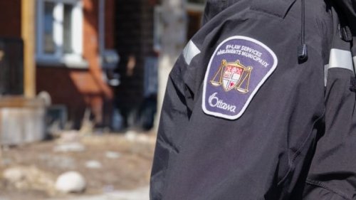 COVID-19 turns Ottawans cranky as bylaw complaints soar during pandemic | CBC News