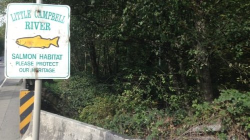 Proposed rezoning of 600 acres in Surrey's South Campbell Heights raises conservation concerns | CBC News