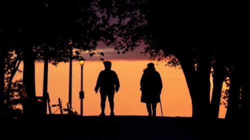 What you need to know about COVID-19 in Ottawa on Sunday, Aug. 1 | CBC News