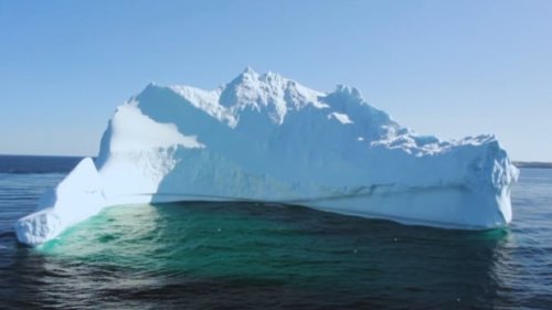 Still waiting for N.L.'s famous iceberg season? Don't hold your breath, scientists say | CBC News