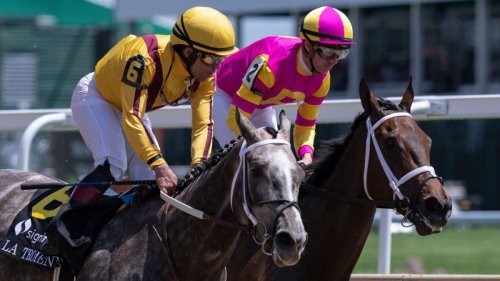 Preakness Stakes 2022 predictions, best bets: Expert picks for win, place, show, trifecta, superfecta