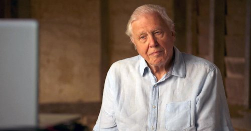 Sir David Attenborough explains what he thinks needs to happen to save the planet