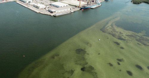 Contaminated water from Florida mining facility dumped a year's worth of hazardous nutrients into Tampa Bay in just 10 days, study shows