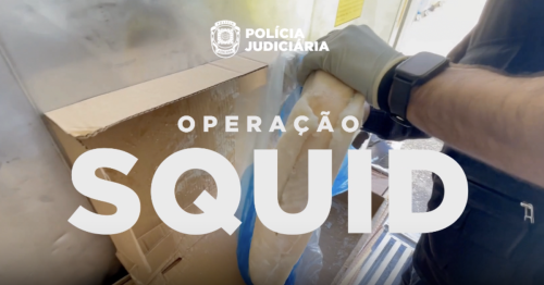 1.3 tons of cocaine found hidden in frozen fish in Portugal: "Operation Squid"