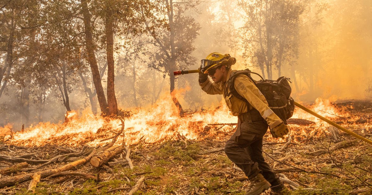 Explosive wildfire near Yosemite grows, forcing thousands of evacuations: "It's absolutely terrifying"