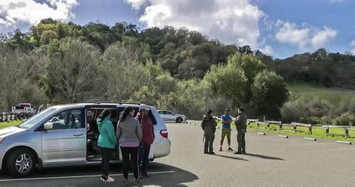 Woman On Boy Scouts Hike With Son Dies After Tree Falls On Her In 