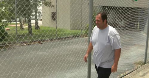 North Miami Beach Mayor Anthony DeFillipo arrested over 'voting irregularities'