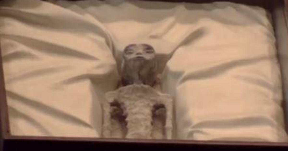Researcher shows bodies of purported "non-human" beings to Mexican congress at UFO hearing