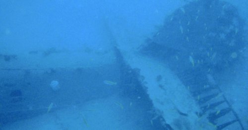 Australian World War II bomber and crew's remains found amid "saltwater crocodiles and low visibility" in South Pacific