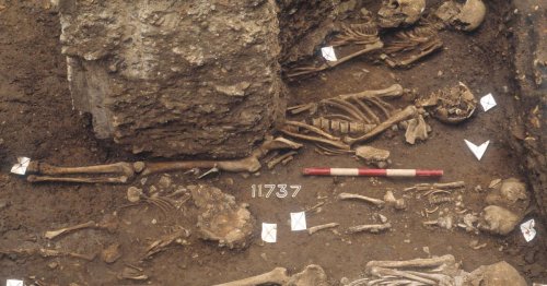 Black Death origin mystery solved after 675 years, researchers say