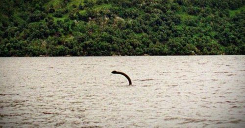 Scientists make discovery on dinosaur some believe to be related to the Loch Ness Monster