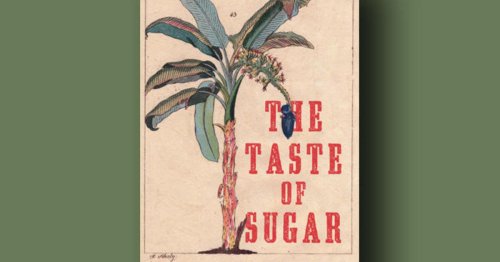 Book excerpt: "The Taste of Sugar" by Marisel Vera