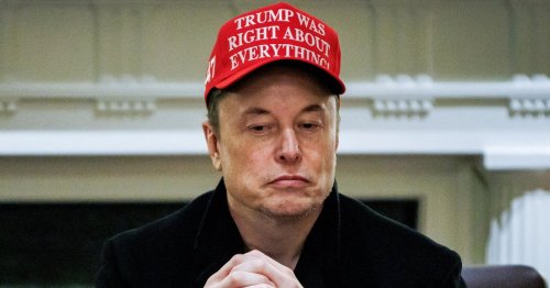 As Tesla's sales and profit tumble, investors ask Elon Musk to ditch DOGE and return to automaker