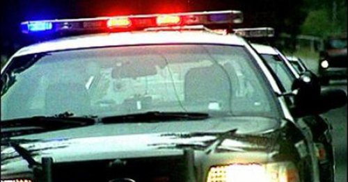 Group of 20-30 robbers swarm Best Buy in Minnesota on Black Friday