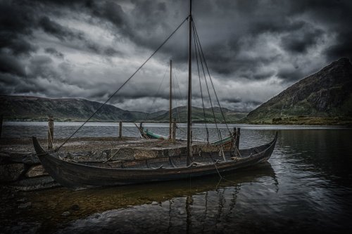 Sweeping DNA Survey Highlights Vikings' Surprising Genetic Diversity